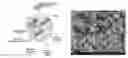 Fig. 01 - Sensors for analyte detection and methods of manufacture thereof