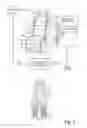 Fig. 02 - Human performance enhancement method and apparatus using wave of electrical stimuli