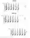 Fig. 07 - Analyzing apparatus