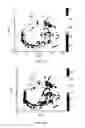 Fig. 22 - Analysis methods of ultrasound echo signals based on statistics of scatterer distributions