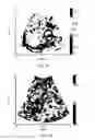 Fig. 23 - Analysis methods of ultrasound echo signals based on statistics of scatterer distributions