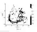 Fig. 26 - Analysis methods of ultrasound echo signals based on statistics of scatterer distributions
