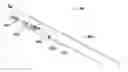 Fig. 01 - Endoscopic biopsy needle with coil sheath