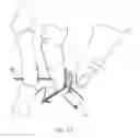 Fig. 10 - Devices and methods for anchoring tissue