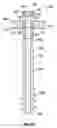Fig. 25 - Compression screw system