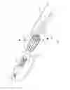 Fig. 06 - Microsurgical handle and instrument