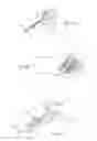 Fig. 09 - DEVICES, SYSTEMS, AND METHODS FOR PERFORMING ENDOSCOPIC SURGICAL PROCEDURES