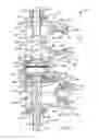 Fig. 12 - External fixator assembly