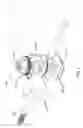 Fig. 04 - External fixator assembly