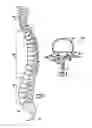 Fig. 02 - SPINAL IMPLANT APPARATUSES AND METHODS OF IMPLANTING AND USING SAME