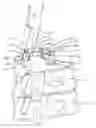 Fig. 01 - Spinal implant system and methods of use