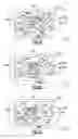 Fig. 11 - Bone compression plate