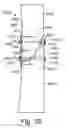 Fig. 41 - System and method for reducing and stabilizing fractures in bone, subluxations, or dislocations