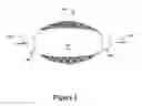 Fig. 04 - Cement-directing orthopedic implants
