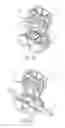 Fig. 10 - Multiple use subassembly with integrated fluid delivery system for use with single or dual-lumen peristaltic tubing