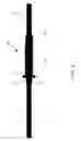 Fig. 05 - SURGICAL INSTRUMENT ELECTRODES AND METHODS OF USE