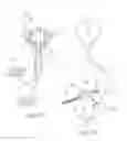 Fig. 11 - Guided cardiac ablation catheters