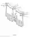 Fig. 14 - METHOD AND APPARATUS FOR DISPOSABLE GLOVE DISPENSING