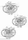 Fig. 19 - THERAPEUTIC SKIN LIFTING DEVICE AND RELATED SYSTEMS AND METHODS