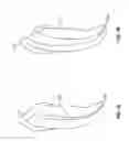 Fig. 02 - Fluted endodontic file