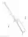 Fig. 06 - Fluted endodontic file