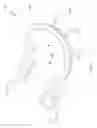 Fig. 06 - Dental dam clamp