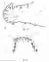 Fig. 25 - Teeth repositioning systems and methods