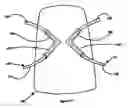 Fig. 08 - WINGED PONTIC AND RELATED METHOD