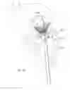 Fig. 07 - Mitral valve inversion prostheses