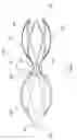 Fig. 02 - Venous valve prostheses