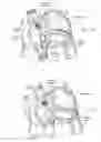 Fig. 09 - Devices, systems, and methods for reshaping a heart valve annulus