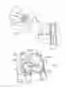 Fig. 16 - Devices, systems, and methods for reshaping a heart valve annulus