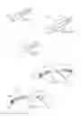 Fig. 24 - Devices, systems, and methods for reshaping a heart valve annulus