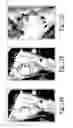 Fig. 11 - Tegmen plate prosthesis and methods for manufacturing and using the same