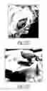 Fig. 15 - Tegmen plate prosthesis and methods for manufacturing and using the same