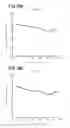 Fig. 27 - Artificial knee joint