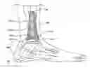 Fig. 01 - Systems and methods for installing ankle replacement prostheses