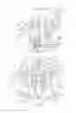 Fig. 06 - Cylinder head, element and flange of a piston engine