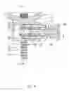 Fig. 05 - Structure of connection and adjustment assembly of support socket joint of prosthesis
