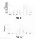 Fig. 10 - Bidirectional stent and method of use thereof