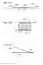 Fig. 41 - Intragastric device