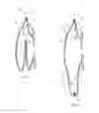 Fig. 02 - Expandable collecting bag for an ostomy appliance
