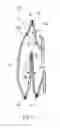 Fig. 04 - Expandable collecting bag for an ostomy appliance