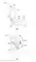 Fig. 02 - Method and apparatus for mandibular support