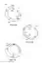 Fig. 16 - Apparatus and method for securing ocular tissue