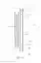 Fig. 11 - Disposable absorbent articles