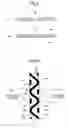 Fig. 04 - Absorbent article