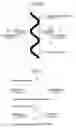 Fig. 08 - Absorbent article