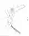 Fig. 02 - Spatial sensing device
