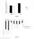 Fig. 05 - Cosmetic composition comprising a muconopeptide